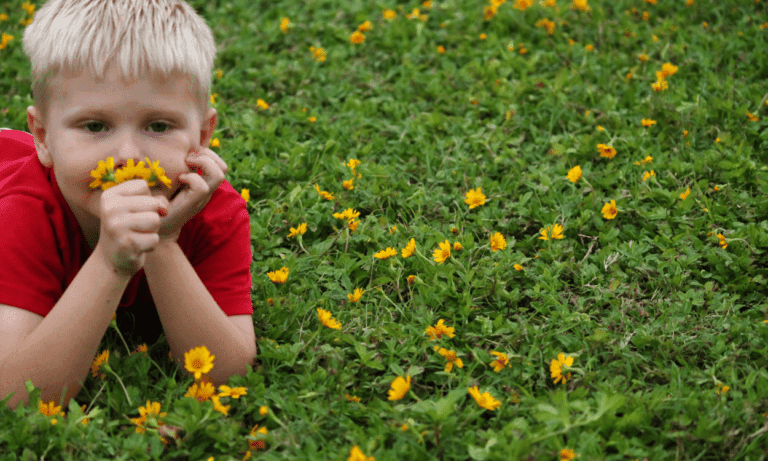 Boy smelling yellow flowers in grass.