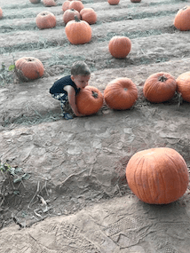 A young child hugs a large pumpkin.