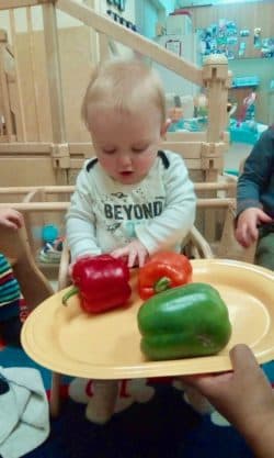 A young boy holding red and green peppers.