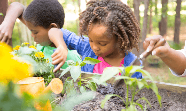 Children gardening together, planting seedlings.
